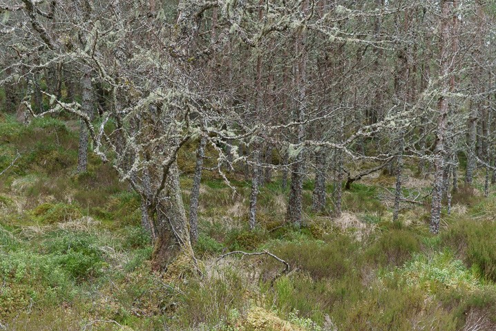 Trekking Schottland 2016